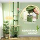 image 3 of PawHut Cat Tower 225-255cm Adjustable with Sisal Posts Hammocks, Green
