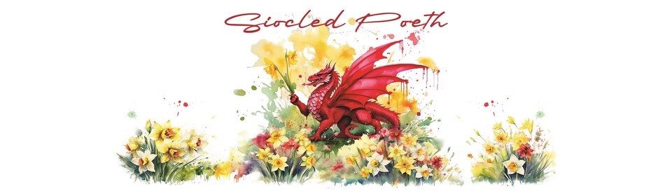 image 1 of Daffodils & Dragon Welsh Large Siocled Poeth Canister (Hot Chocolate)