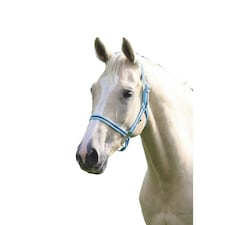 Wessex Horse Headcollar - Cambridge/Navy - Full