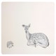 image 2 of Interiors By Premier Set Of Two Mini Forest Placemats And Coasters, Woodland-Themed Dining Set, Heat Resistant Tableware