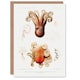 image 1 of Vintage Marine Life Art Card Pygmy Octopus Study Illustration
