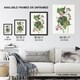image 3 of Black and Yellow Warblers Audubon Nature Wall Art Poster Print 12X16"
