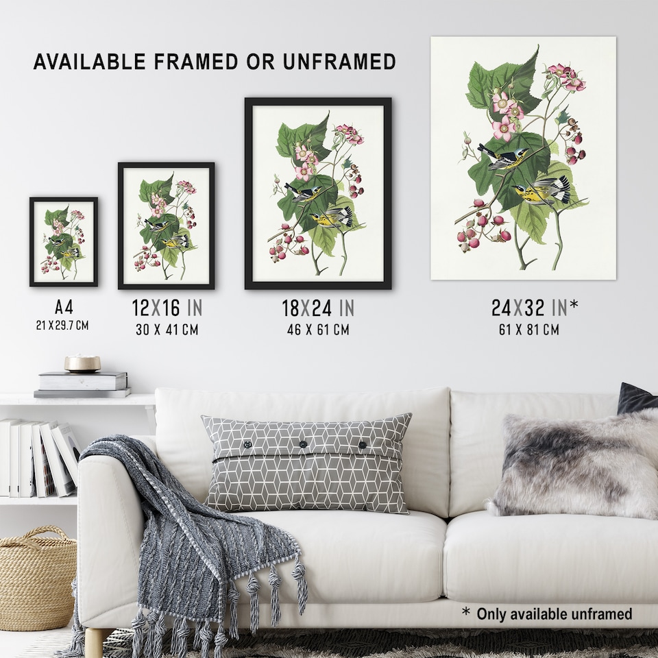 image 1 of Black and Yellow Warblers Audubon Nature Wall Art Poster Print 12X16"