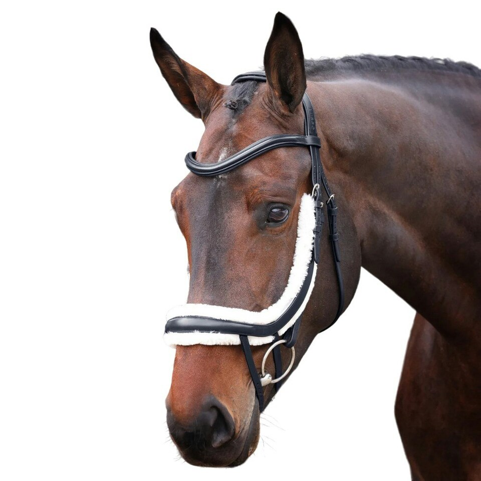 image 1 of Velociti Rapida Fleece Lined Leather Curved Horse Flash Noseband - Black - X Full