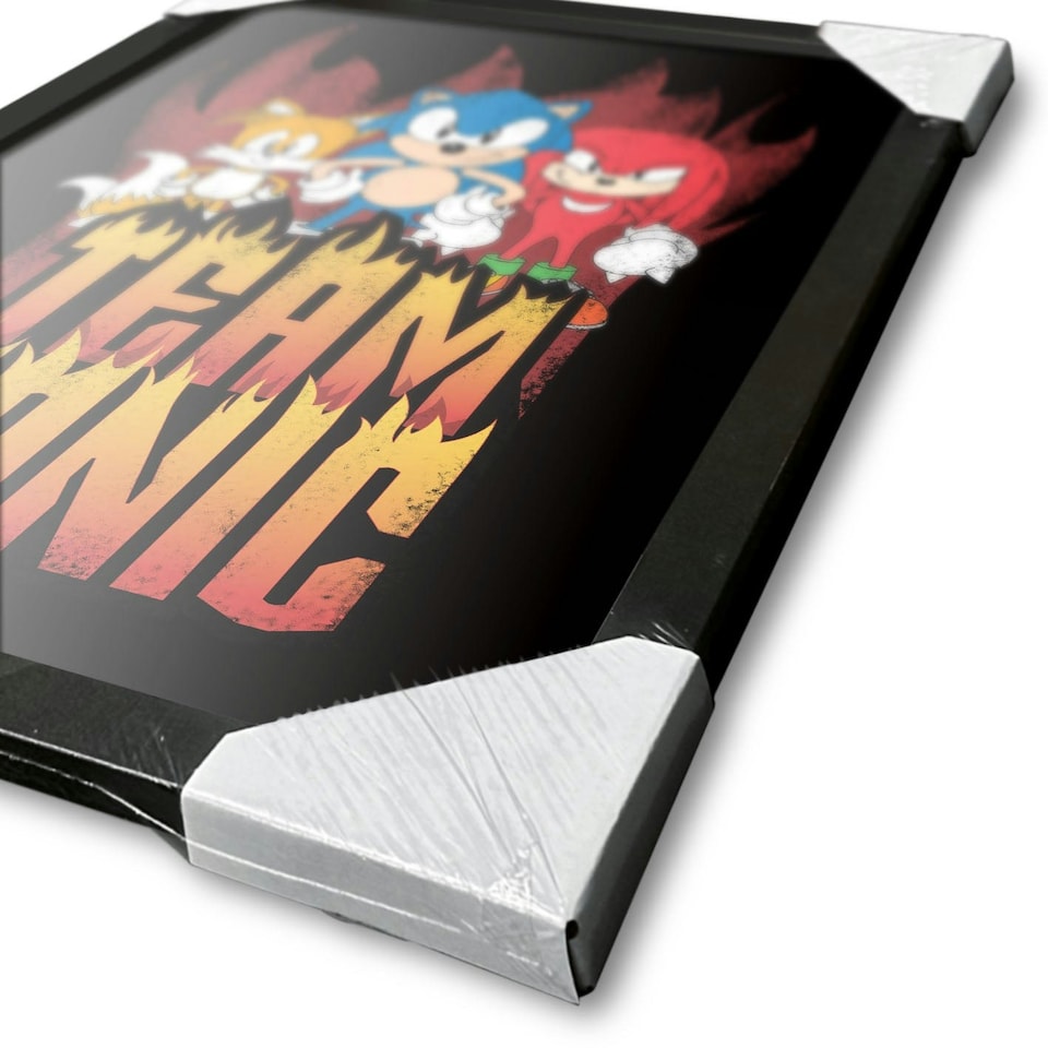 image 1 of Sonic The Hedgehog (Team Sonic) Framed 30x40cm Print