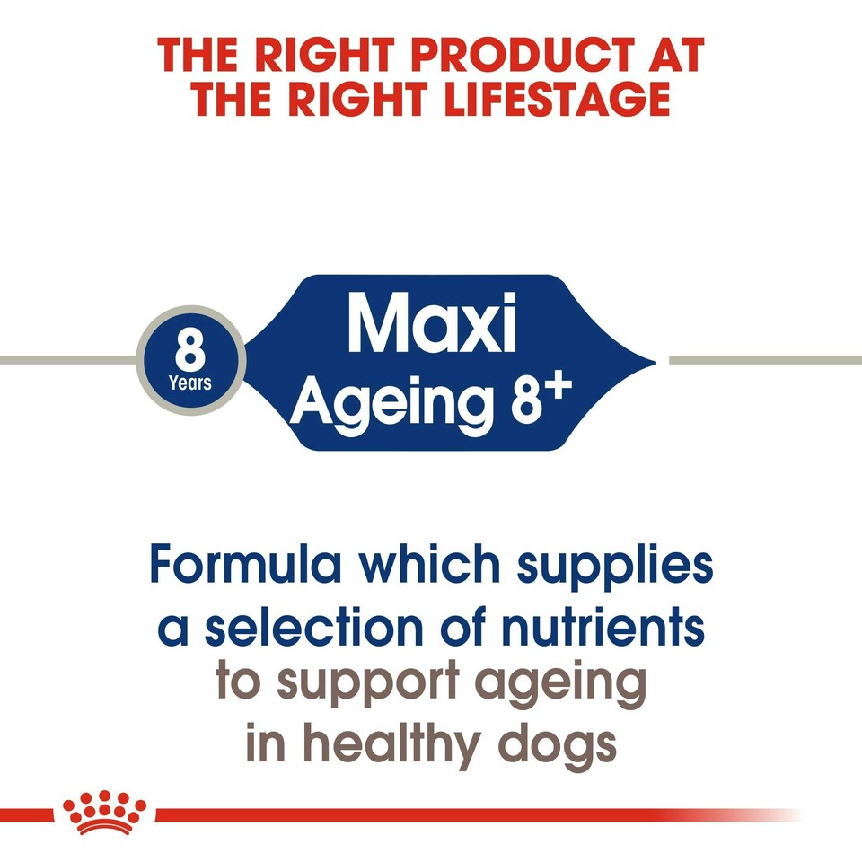 image 1 of ROYAL CANIN® Maxi Ageing 8+ Dry Dog Food