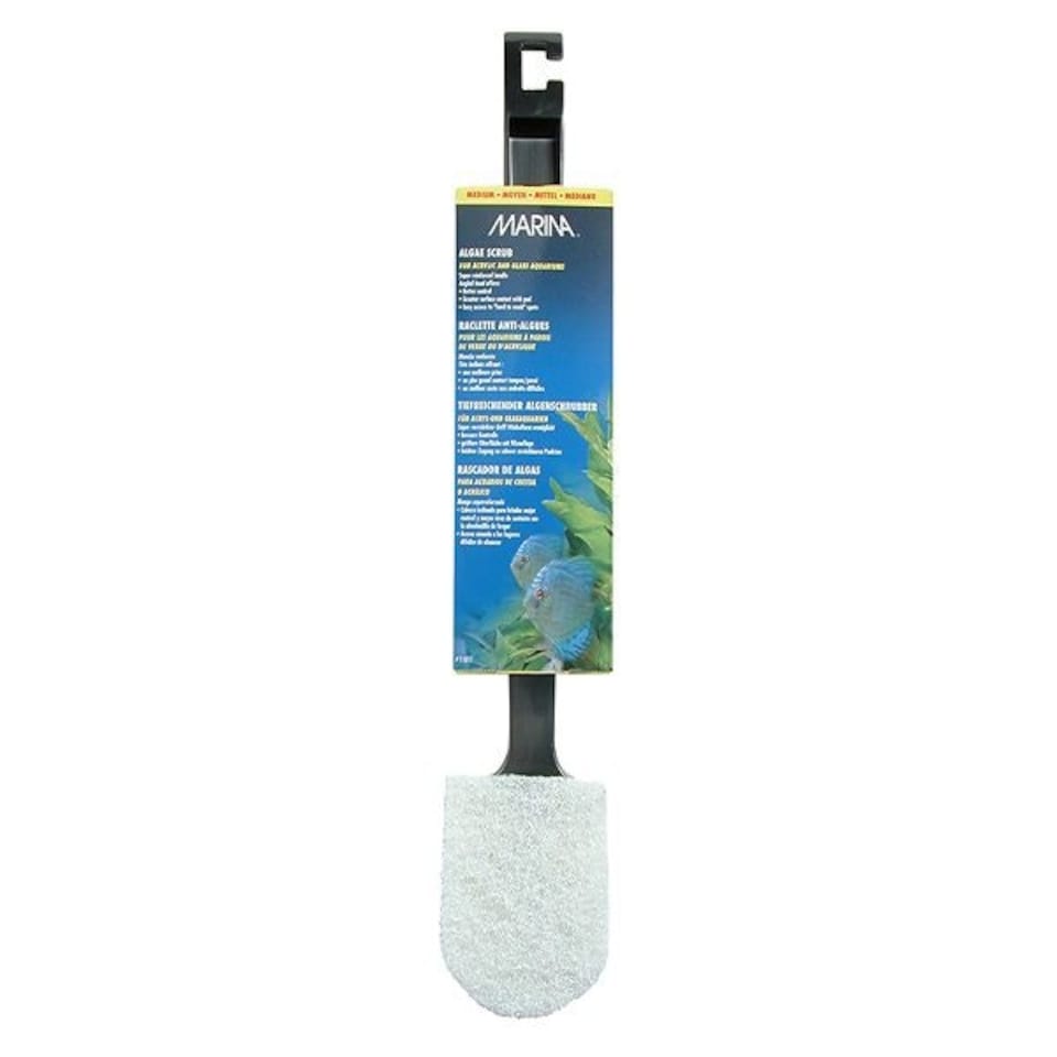 Marina Algae Scrub - Medium