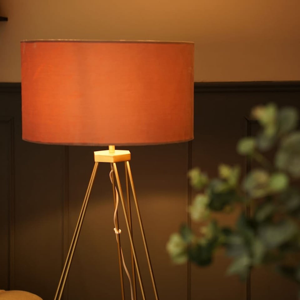 image 1 of ValueLights Aero Polished Gold Floor Lamp Pink Shade & Bulb | Pink