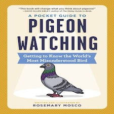 A Pocket Guide To Pigeon Watching