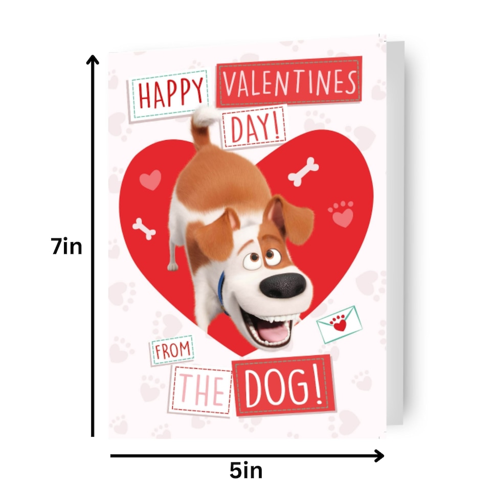 image 1 of The Secret Life of Pets "From The Dog" Valentine's Day Card