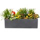 image 1 of Window Box Light Concrete Dark Grey Garden Planter L60 W17 H17.5 cm, 18 ltrs Cap.