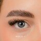 image 2 of House Of Amor - Eyelash Extensions - Winging It - Pre Mapped Quicklashes -