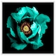 image 1 of Cyan peony flower (Picutre Frame) White | XS