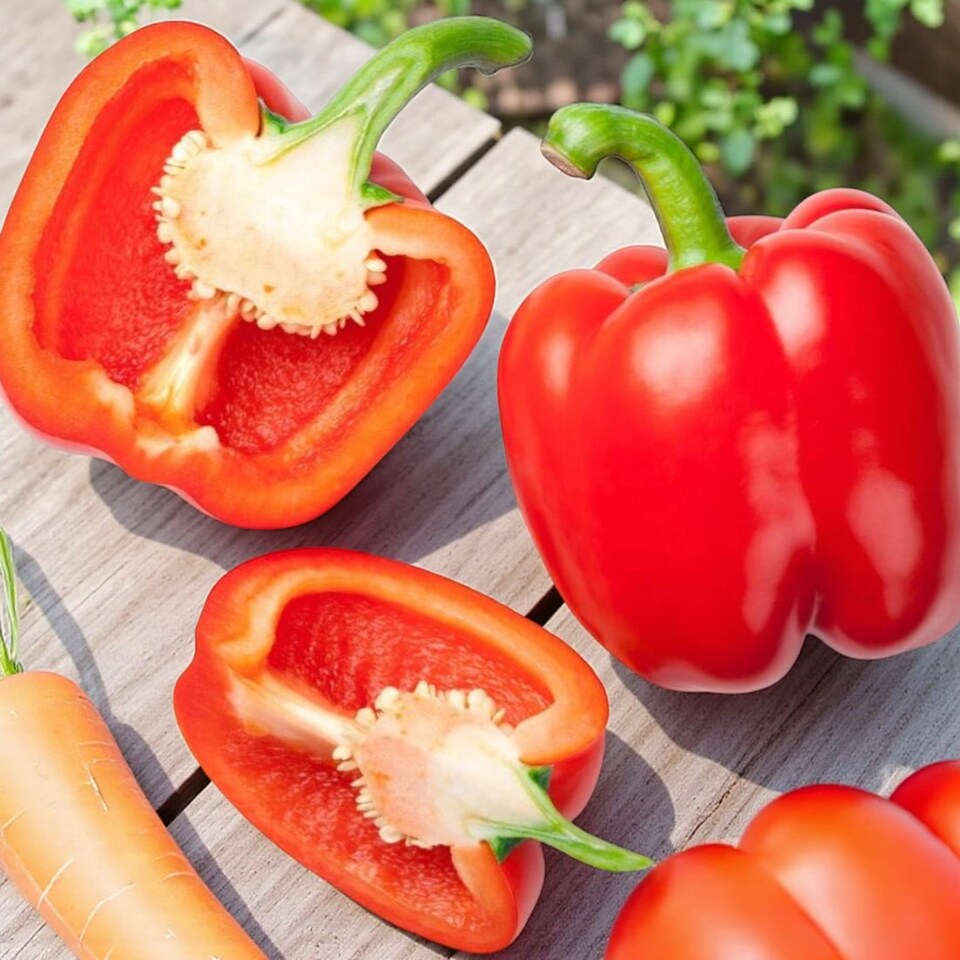 image 1 of Carbeth Plants 6 x Bell Pepper Bellboy Vegetable Plant - 9cm Pot - Easy Grow Kitchen Garden