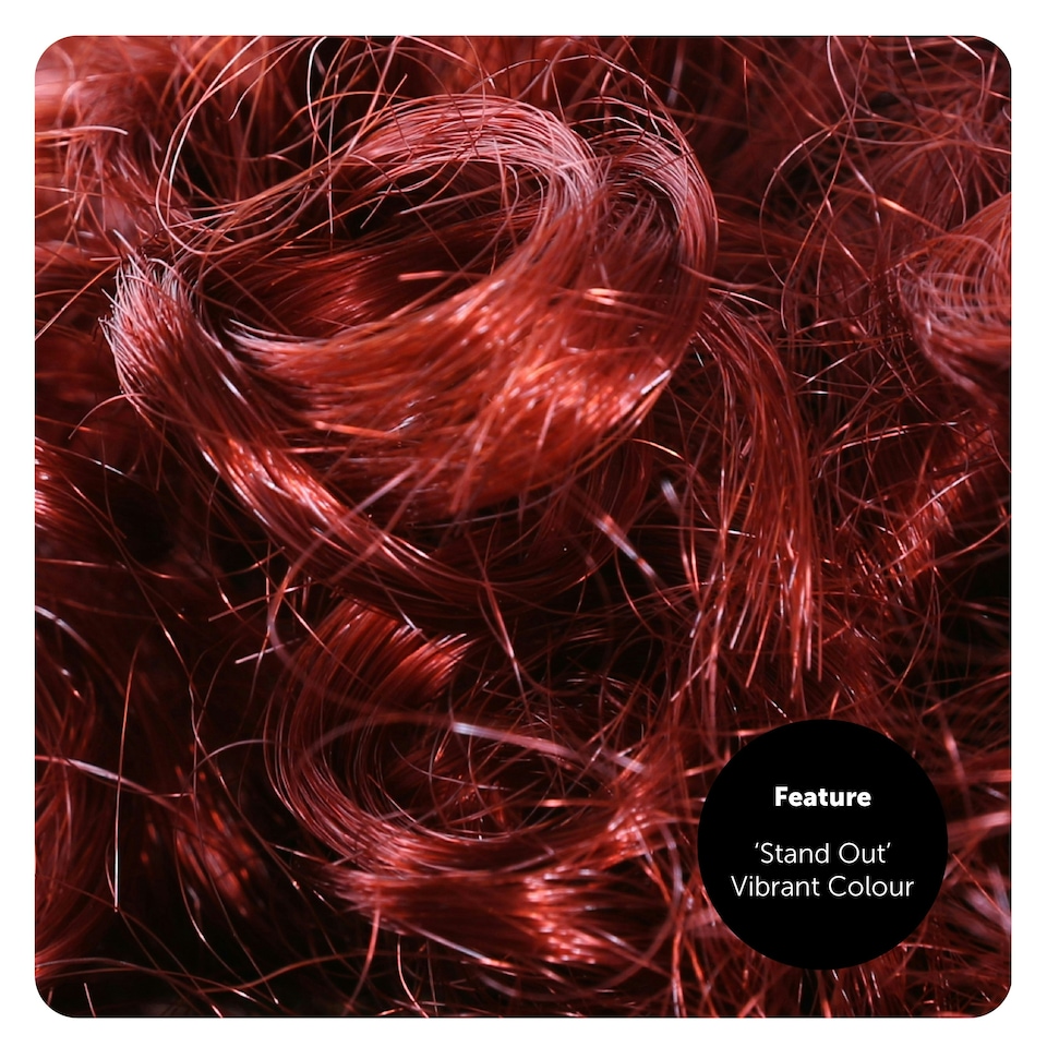 image 1 of Adult Ginger Afro Wig – Bright Curly Fancy Dress Hairpiece N/A | One Size