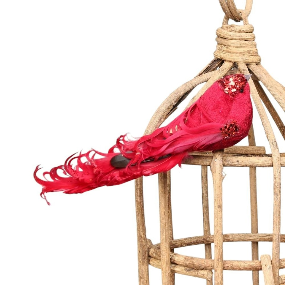 image 1 of Decorative Red Showfeather Bird With Clip