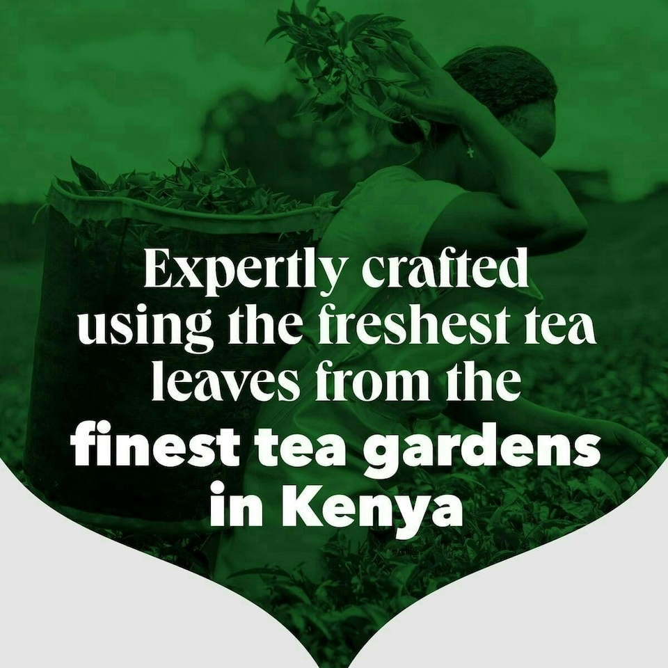image 1 of PG Tips Original | Black Tea Bags Bulk | One Cup | Refreshing & Flavourful | Ideal For Office Catering | 1100 Plant Based Biodegradable Square Teabags