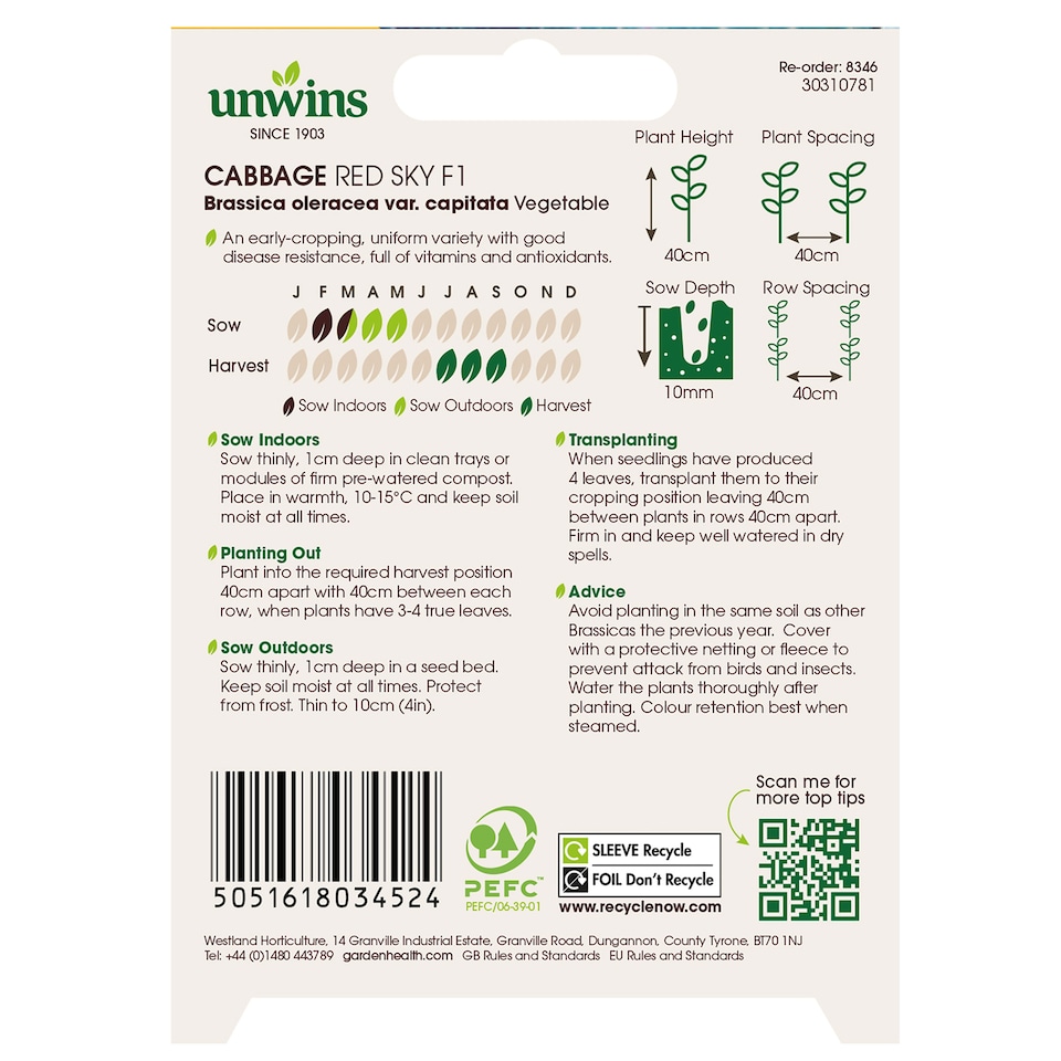 image 1 of Cabbage (Round) Redsky F1 | Multi | Green | 30 Seeds