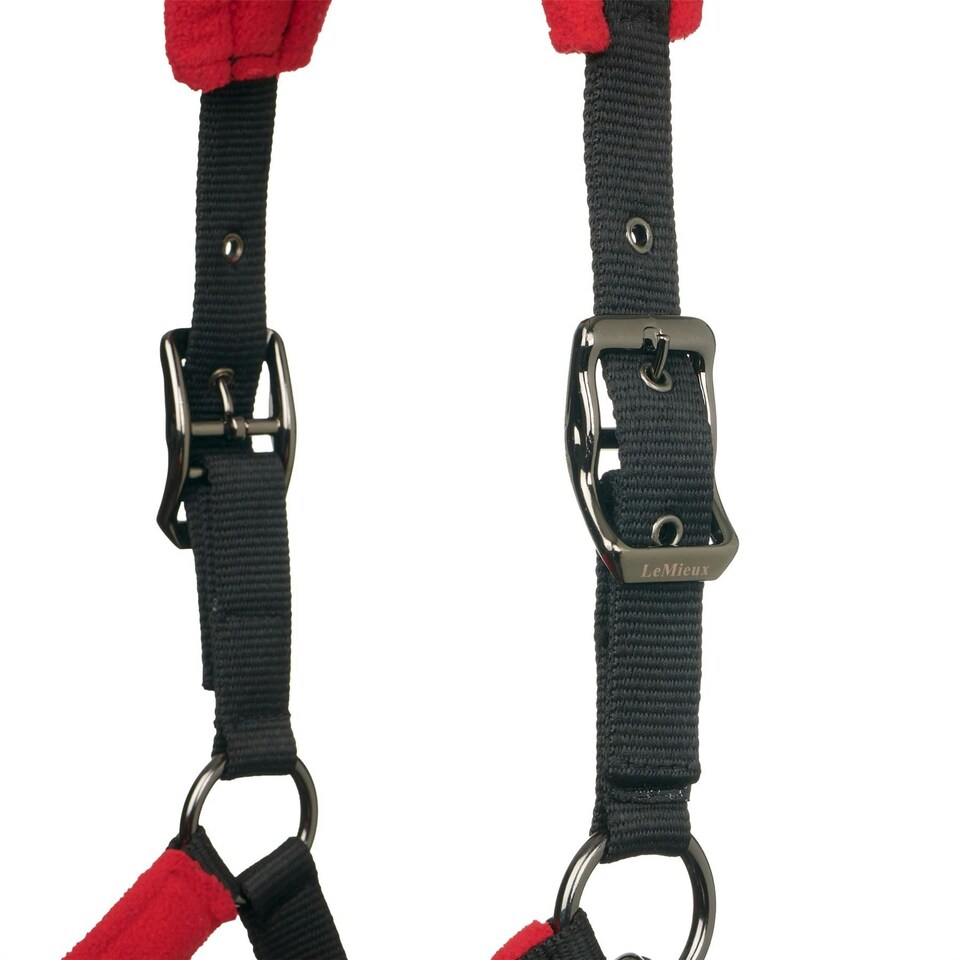 image 1 of LeMieux Vogue Headcollar & Leadrope Red | Full