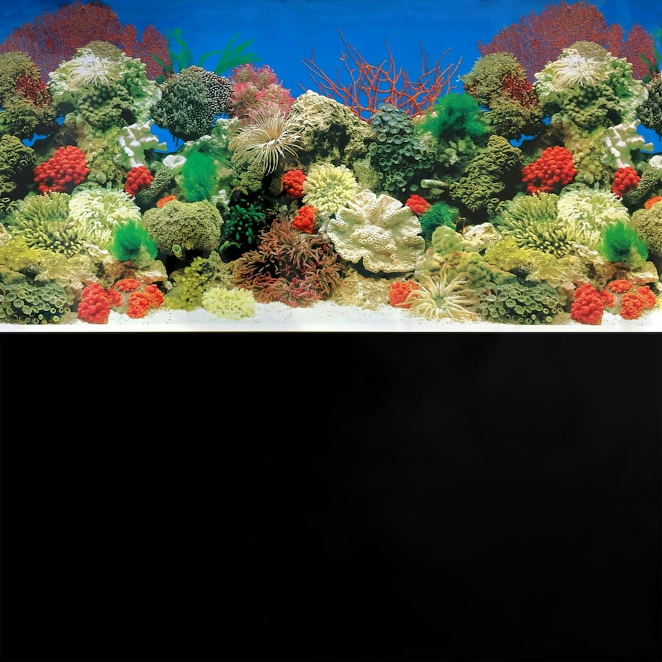 image 1 of Superfish Poster/Background #1 (Coral / Black)