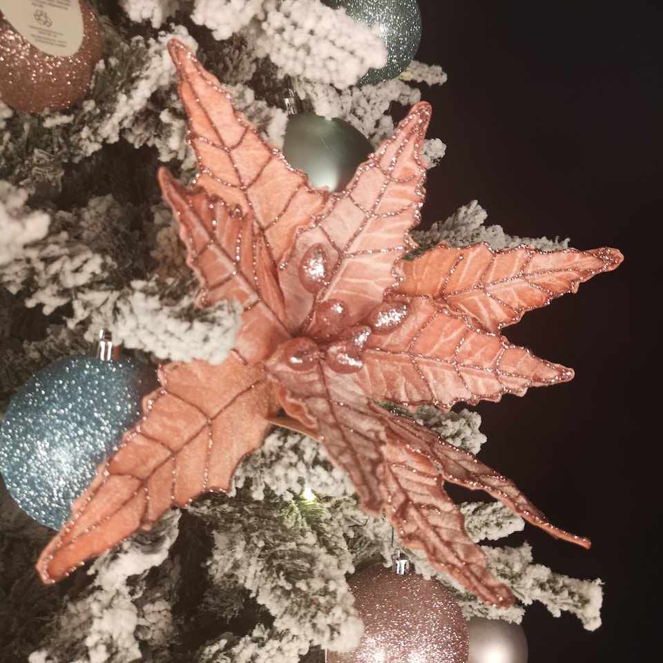 image 1 of 68cm Frosted Light Coral Pink Poinsettia Stem Christmas Decoration