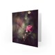 image 2 of Bokeh Pink Rose Flower Photograph Floral Spring Art Card