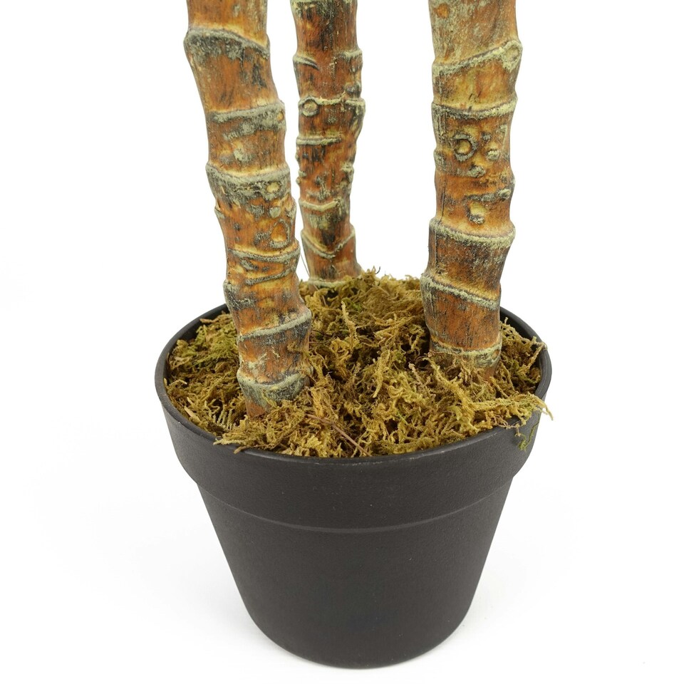 image 1 of 170cm Artificial XL Triple Yukka Tree Tropical Plant Green | One Size