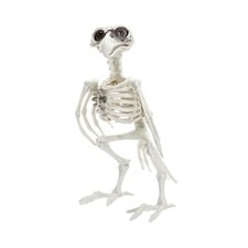 Crow Skeleton Halloween Plastic Prop Decoration 19cm