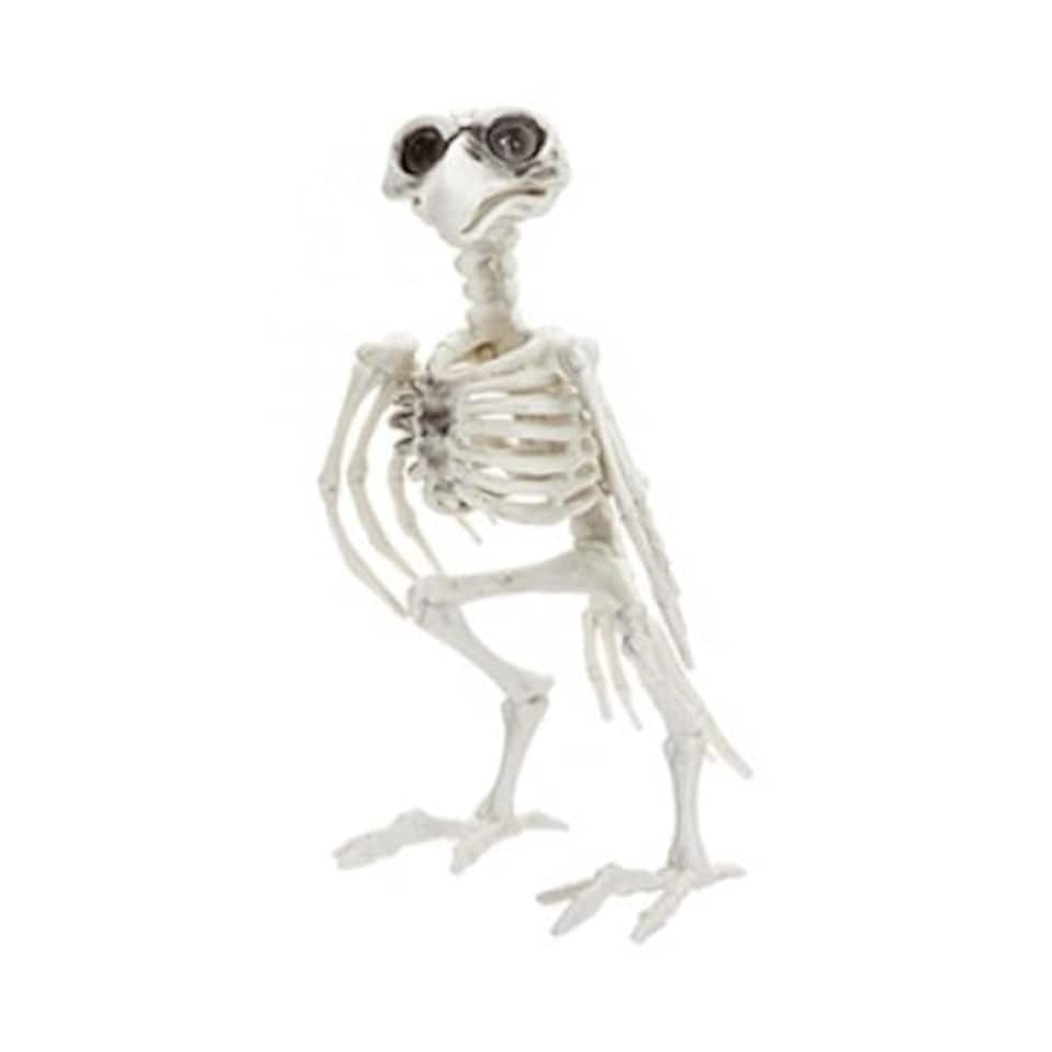 image 1 of Crow Skeleton Halloween Plastic Prop Decoration 19cm