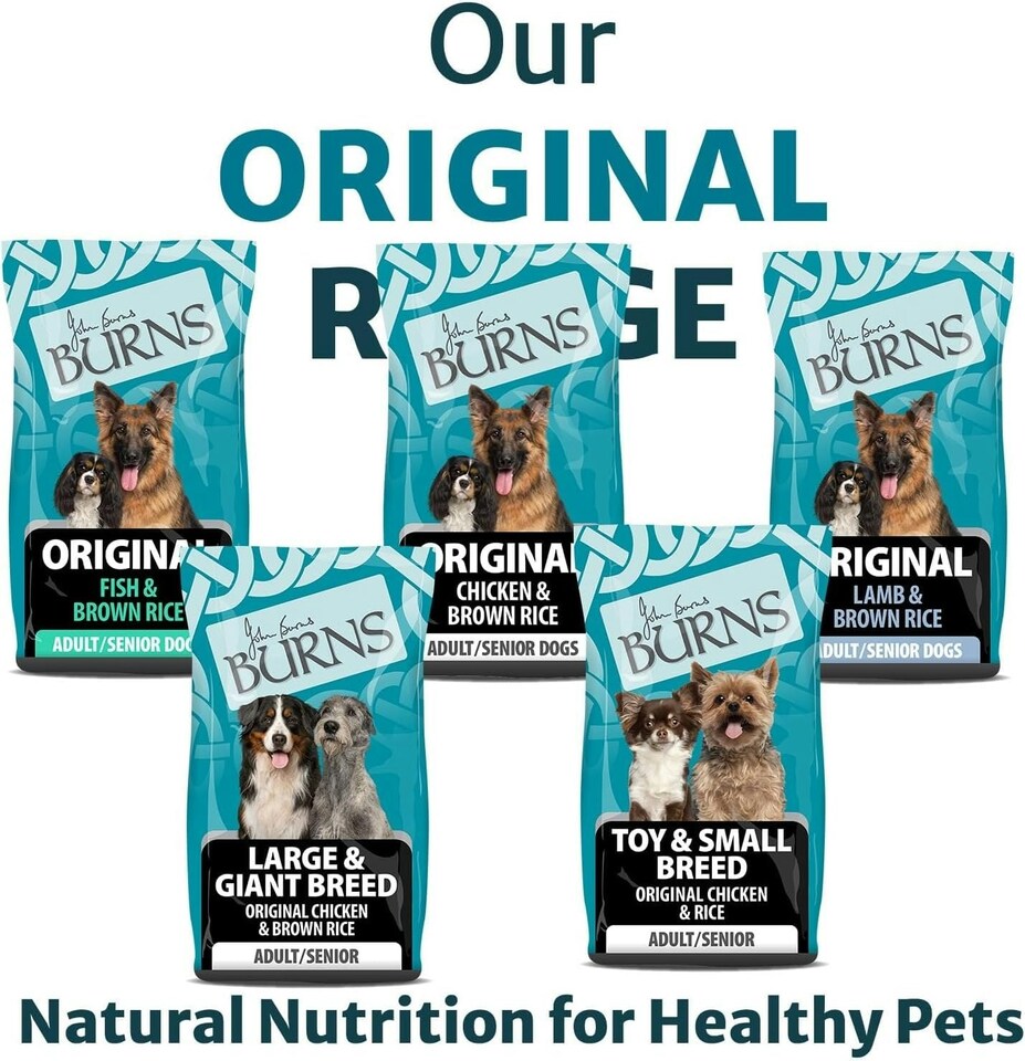 image 1 of Burns Original Lamb & Brown Rice Hypoallergenic Adult & Senior Dry Dog Food - 6 kg