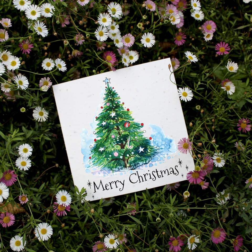 image 1 of Christmas Tree - Plantable Wildflower Seed Christmas Cards - 10 Pack