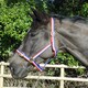 image 1 of Rhinegold Nylon Headcollar Grey | Size: X-Full
Colour: Grey