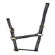 image 2 of Shires Blenheim Adjustable Leather Headcollar Black | Size: Baby 2
Colour: Black