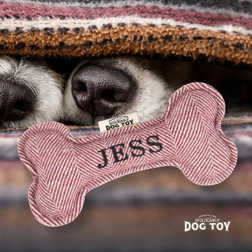 image 1 of History & Heraldry Pre-Personalised Squeaky Bone Dog Toy - Jess