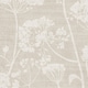 image 2 of Grandeco Cow Parsley Organic Foliage Trail Wallpaper, Natural Taupe | Brown | Natural | 5.32