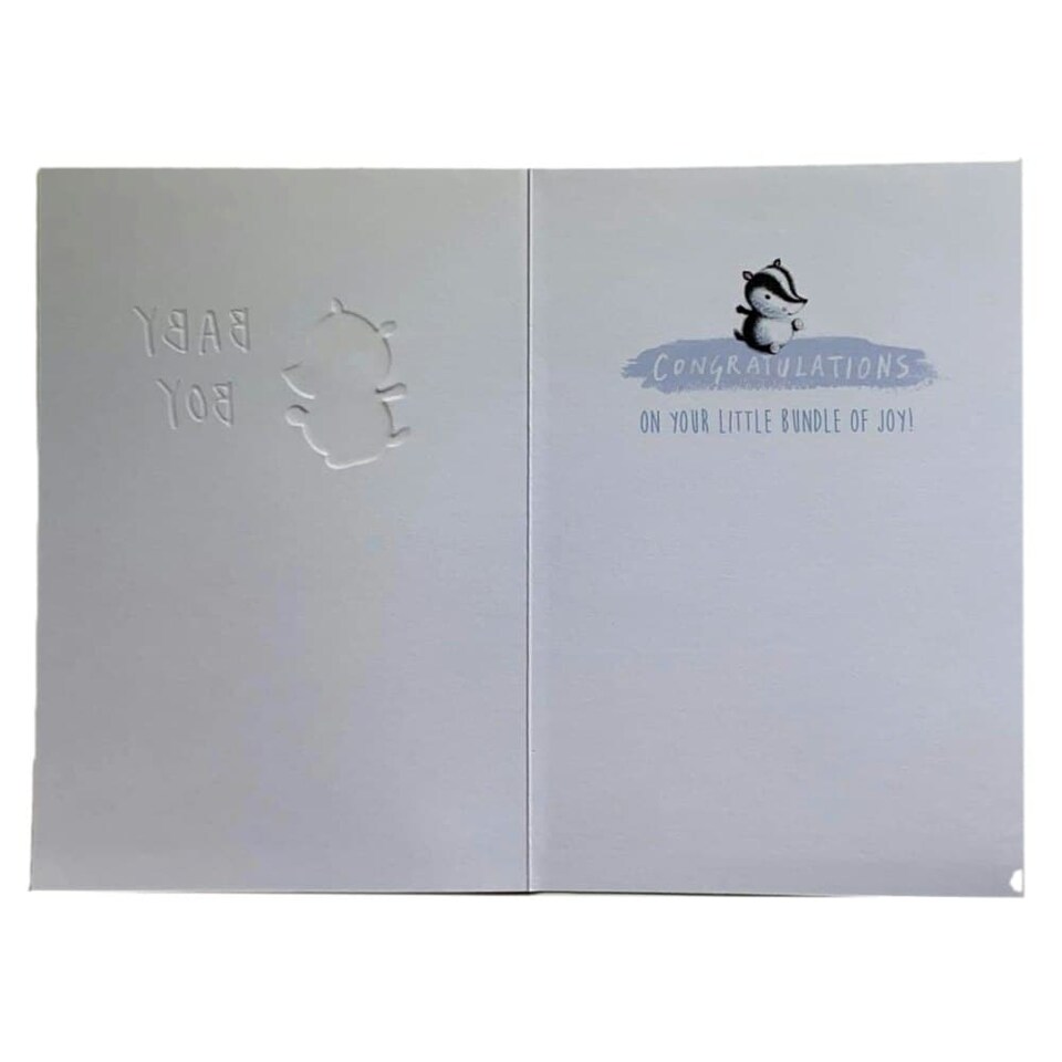 image 1 of A New Baby Boy Cute Rabbit Design Congratulations Card