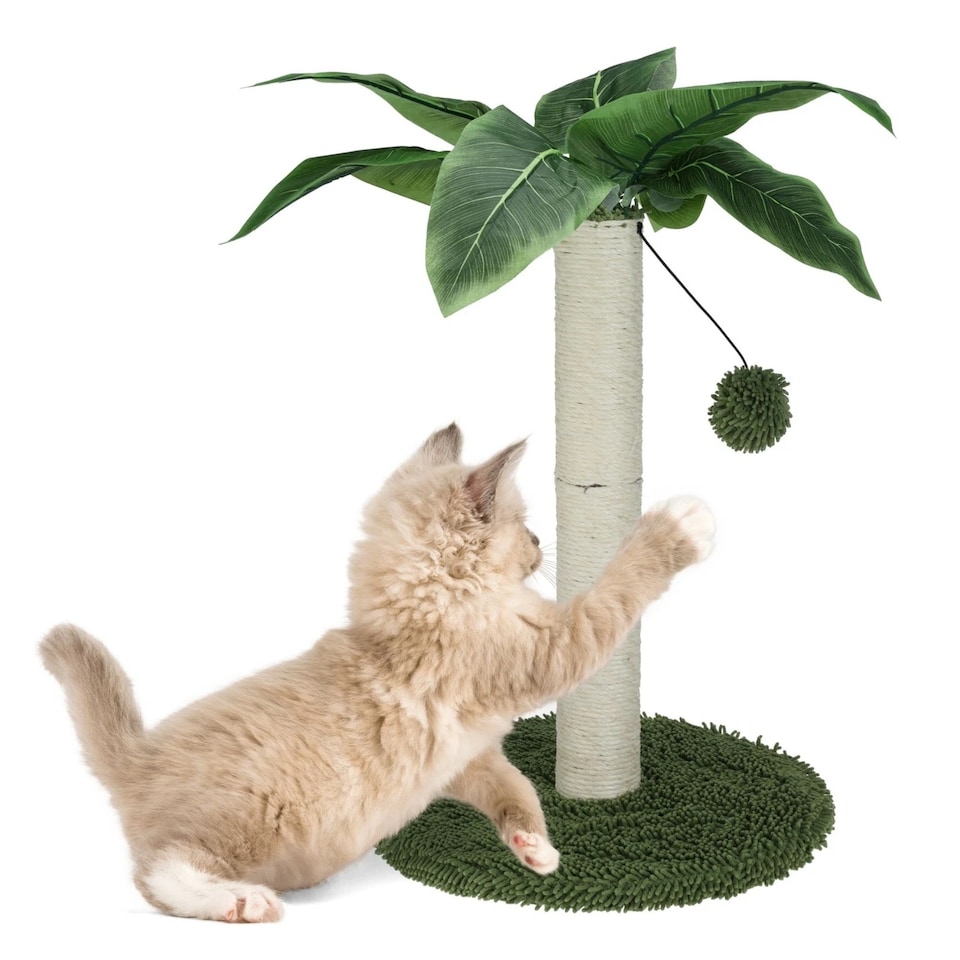 image 1 of Cat Scratch Tree On Stand With Hanging Ball Kitten Claws Scratcher Play Toy Mat