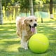 image 6 of The Magic Toy Shop Giant Tennis Ball 24cm Big Outdoor Beach Sports Inflatable Toy
