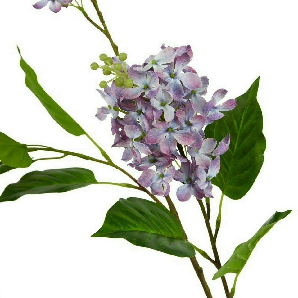 image 1 of The Natural Garden Collection Lilac (Single Stem Flower) - Plastic - L30 x W30 x H75 cm - Purple