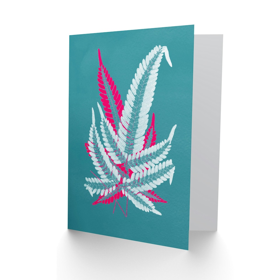 image 1 of Bright Coloured Fern Teal Pink Just To Say Blank Art Card