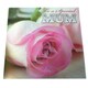 image 6 of 3D Holographic - To A Special Mum - Mother's Day Greetings Card