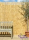image 3 of Primrose Thick Reed Bamboo Style Natural Privacy Screening Roll Garden 4m x 1m
