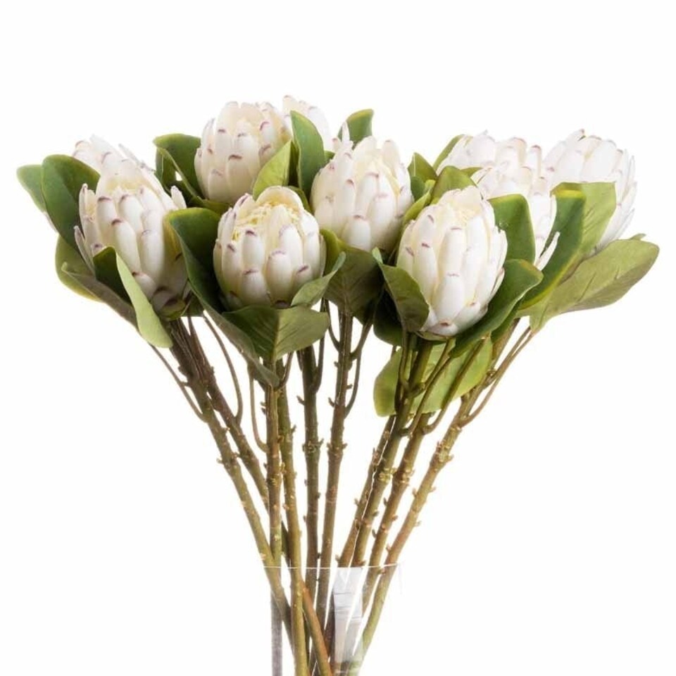 image 1 of Closed Protea Artificial Flower (Single Stem) - L12 x W8 x H67 cm - White