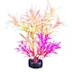 image 1 of Marina iGlo Plant Pink Alternanthera 5.5"