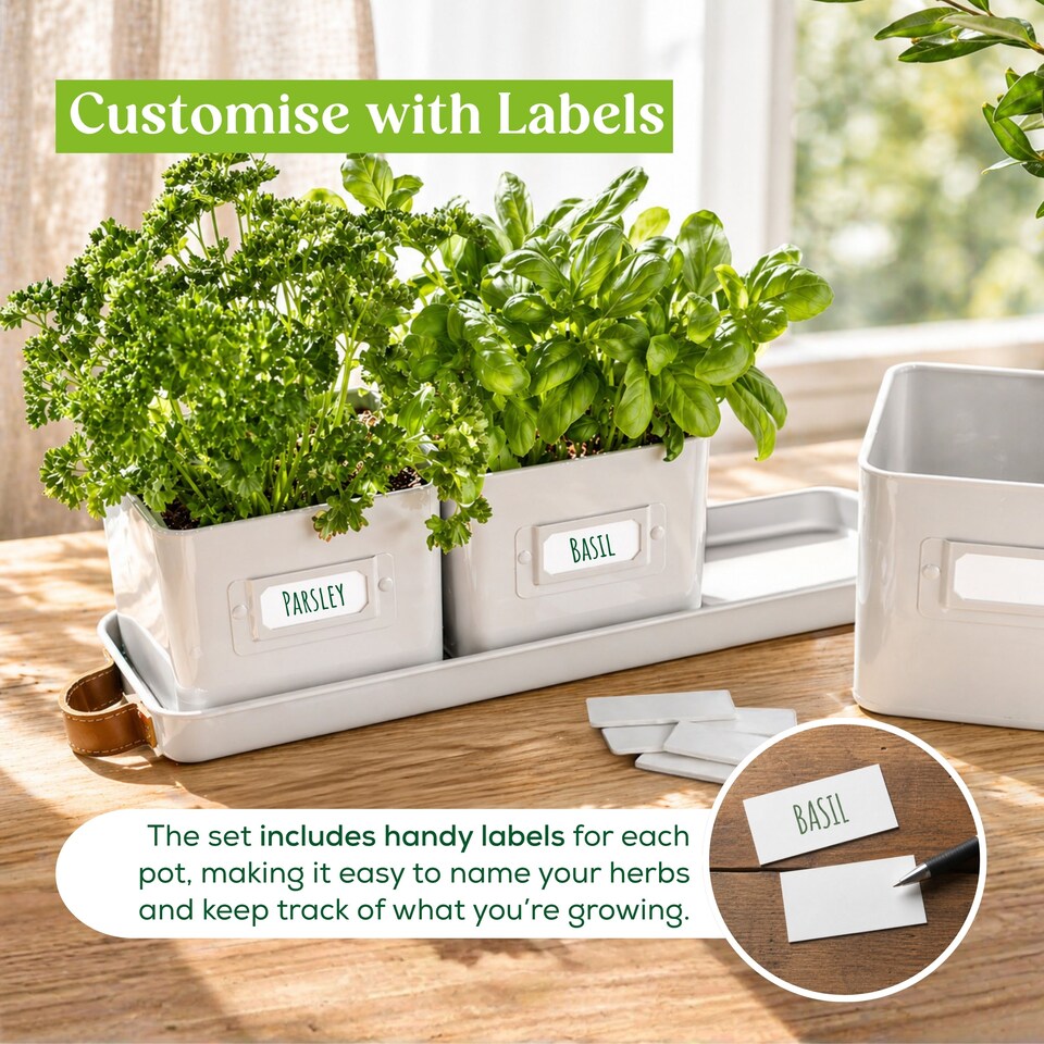 image 1 of Set of 6 White Indoor Herb Pots with Tray