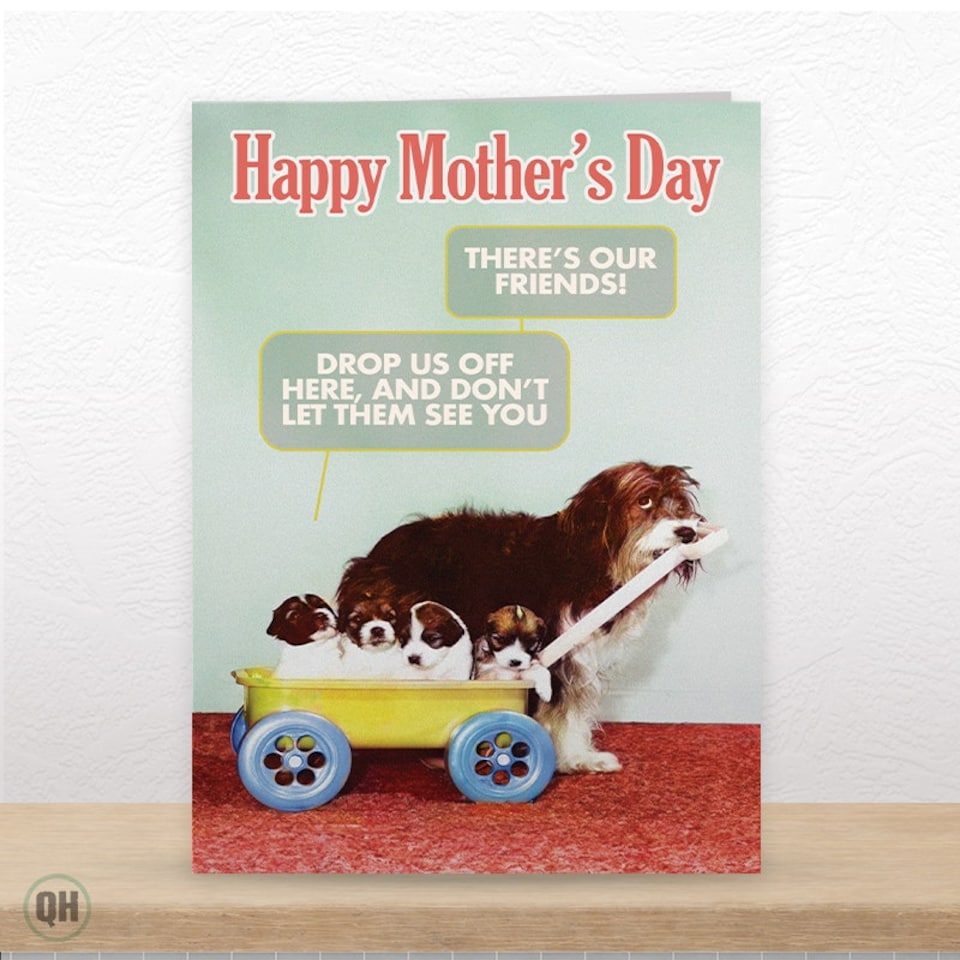 image 1 of Drop Us Off Here, And Don't Let Them See You... - Funny Mother's Day Card