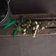 image 3 of Wild Meadow Rose Artificial Flower - Fabric/Plastic - L15 x W15 x H74 cm - Cream