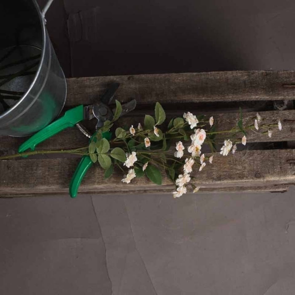 image 1 of Wild Meadow Rose Artificial Flower - Fabric/Plastic - L15 x W15 x H74 cm - Cream