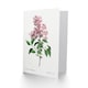image 2 of Pierre-Joseph Redouté Art Card Chinese Lilac Vintage Floral