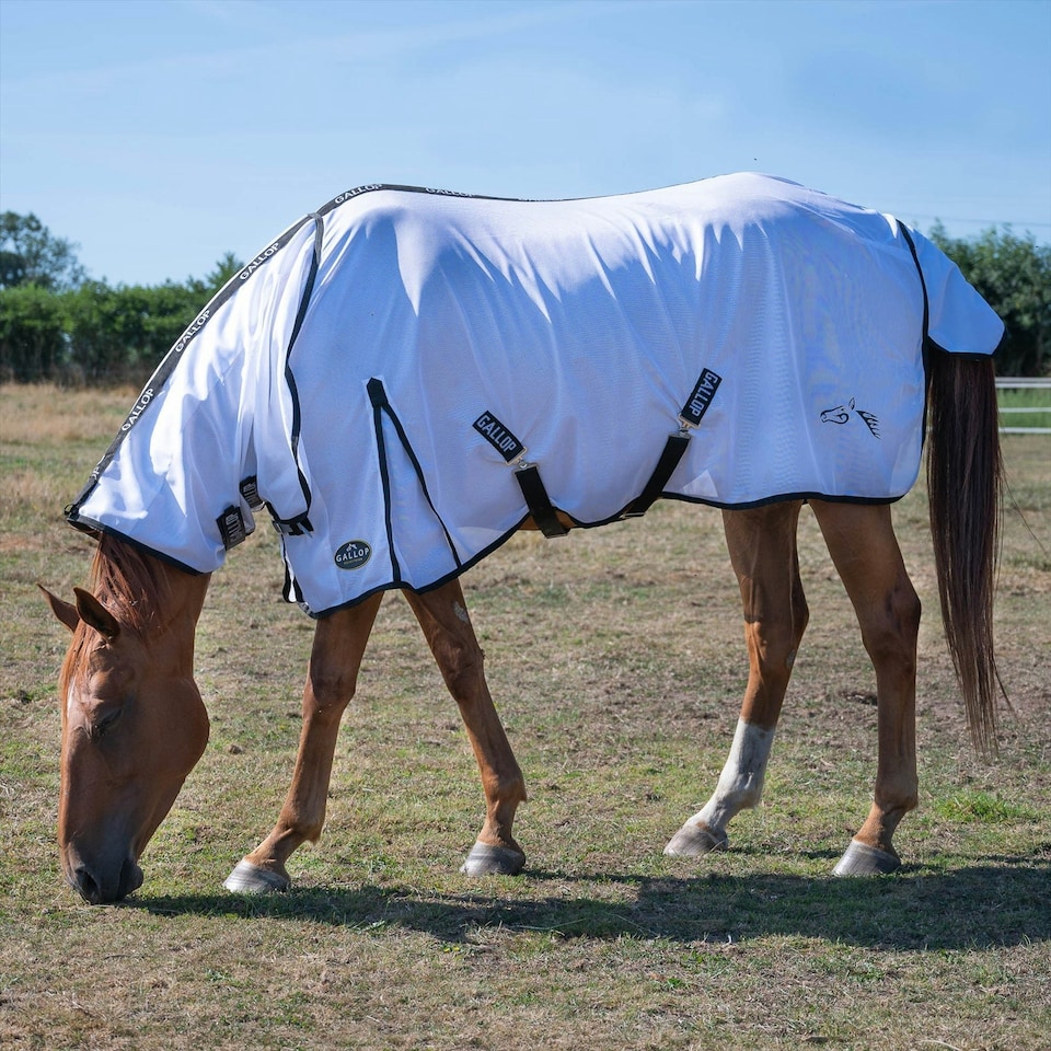 image 1 of Gallop Equestrian Fly Mesh Combo Rug Cream | Size: 6ft 6
Colour: Beige/Sky